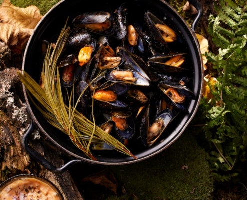 Miesmuscheln_unterm_Kiefernzweig_Q-1000x500