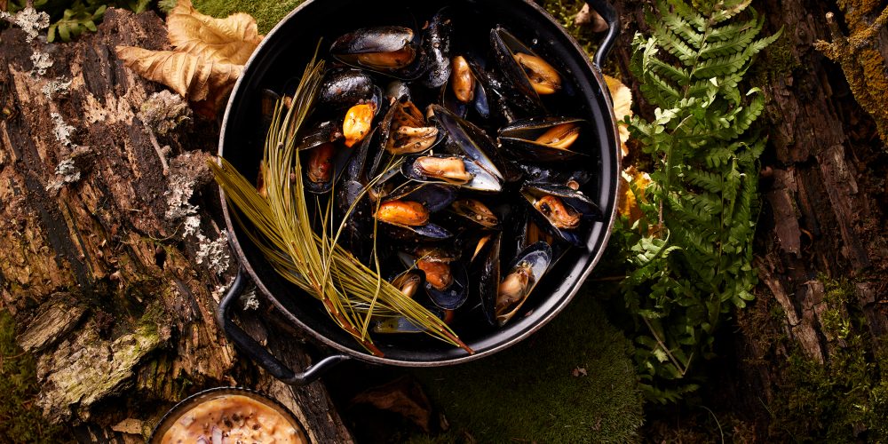 Miesmuscheln_unterm_Kiefernzweig_Q-1000x500